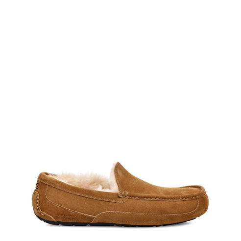 Ugg - Ascot Slipper Mens