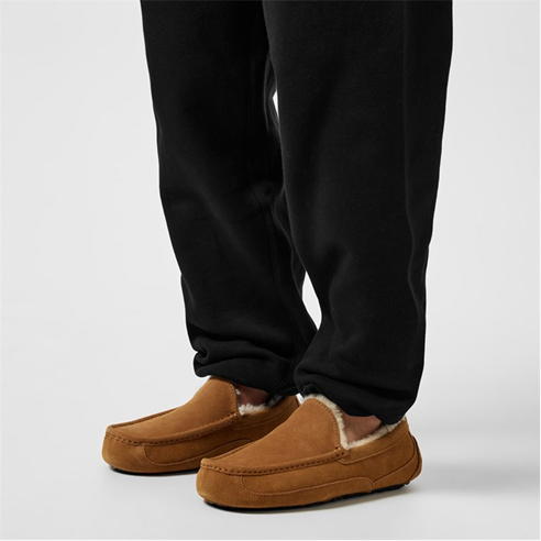 Ugg - Ascot Slipper Mens