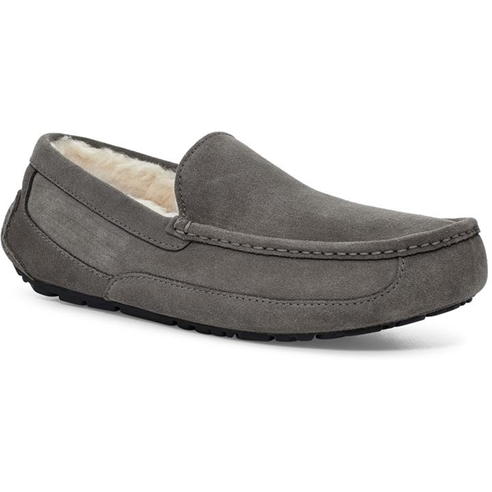 Ugg - Ascot Slipper Mens