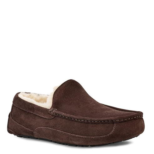 Ugg - Ascot Slipper Mens