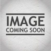 gucci bee trainers womens white