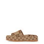 Camel 2580 - GUCCI - Angelina Sliders