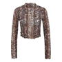 Wnd Wht/Brwn - adidas Originals - Snake Mesh To Ld99