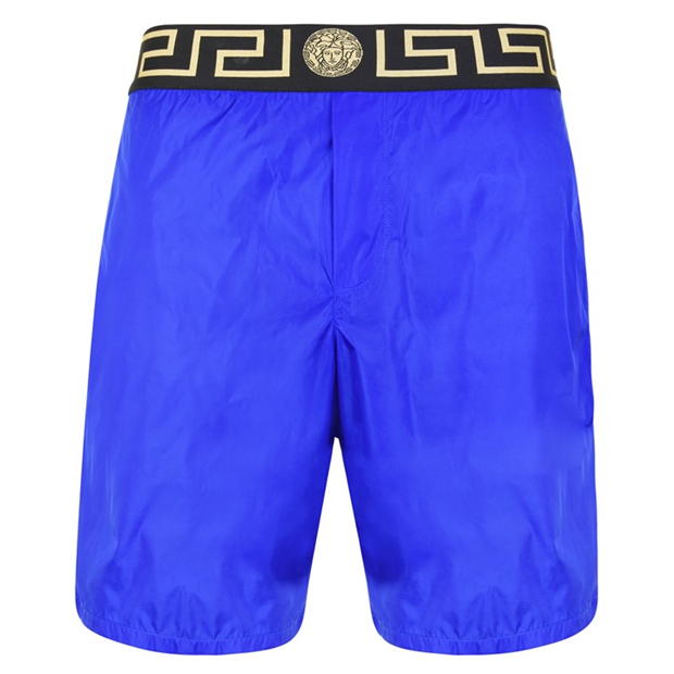 icon swim shorts