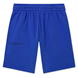 Cobalt Blue