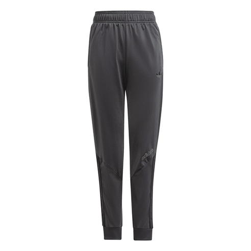 adidas Originals - Sprt Trck Pt Jn99