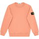 Salmone V0081