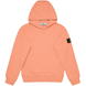 Salmone V0081