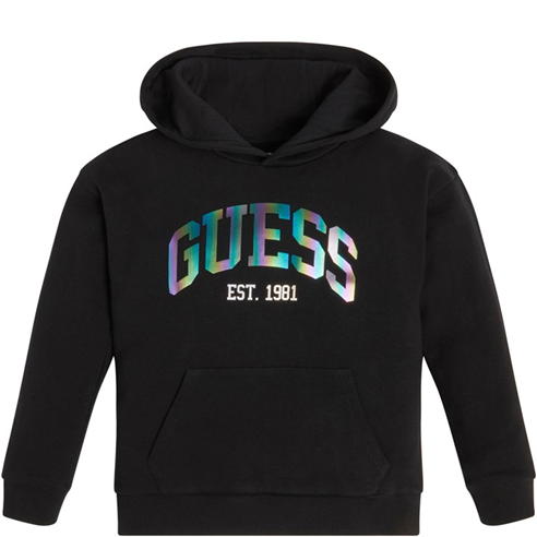 Guess - Guess Logo Hoodie Jn32