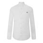 291 White - Polo Ralph Lauren - Poplin Shirt