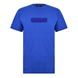 Cobalt Blue