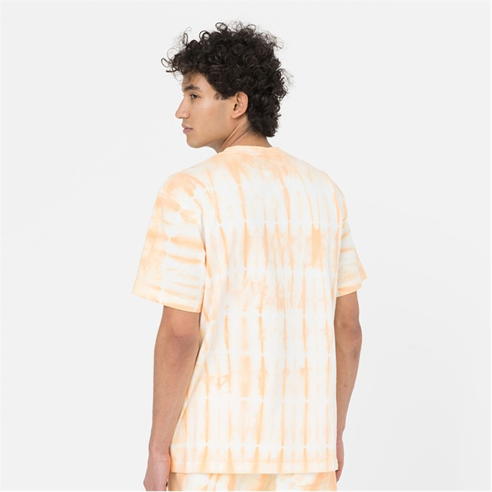 Dickies - Dickies Westfir Tee Sn32