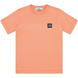 Salmone V0081