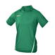 Sage V0055
