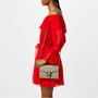 Beige - GUCCI - Dionysus Mini Shoulder Bag