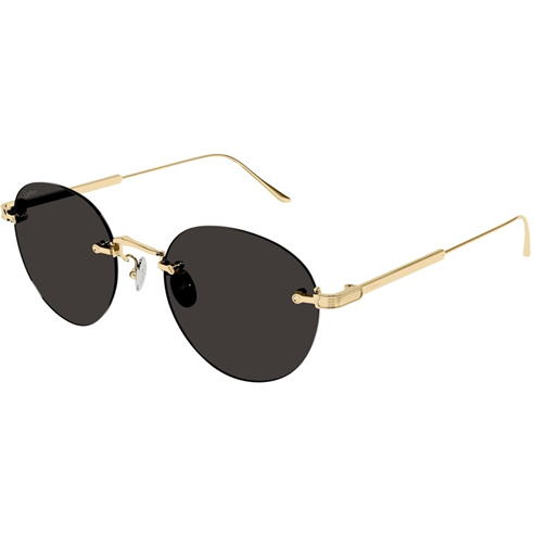CARTIER - Cartier Sunglasses Ct0393s