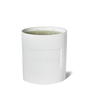 White - FLANNELS - Ceramic 500g Candle