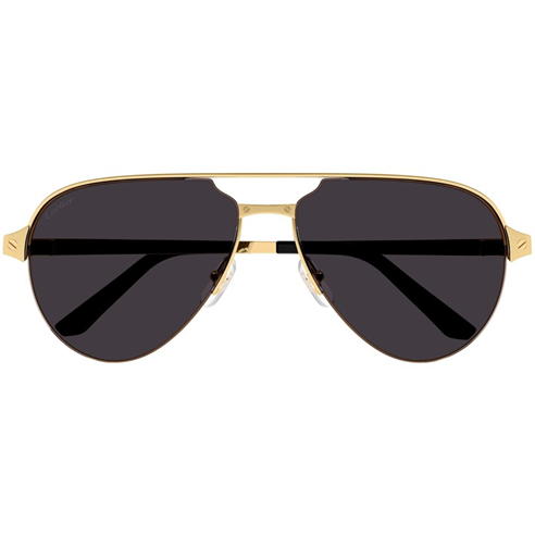 CARTIER - Cartier Sunglasses Ct0386s