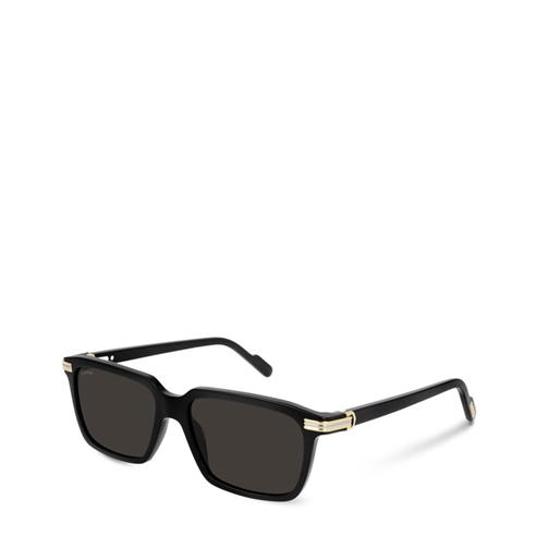 CARTIER - Cartier Sunglasses Ct0220s
