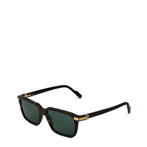CARTIER - Cartier Sunglasses Ct0220s