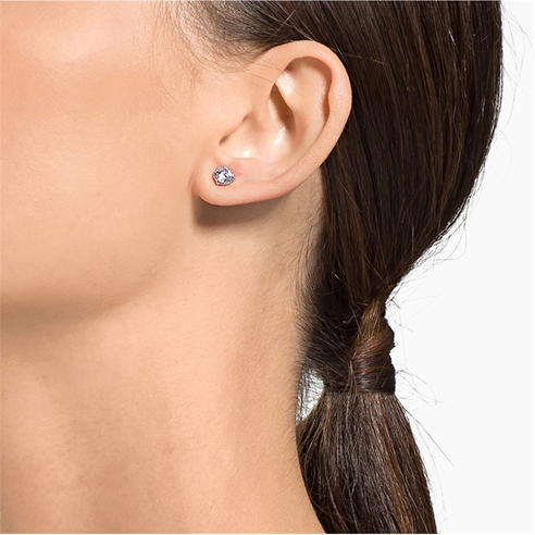 Swarovski - Attract Stud Earrings