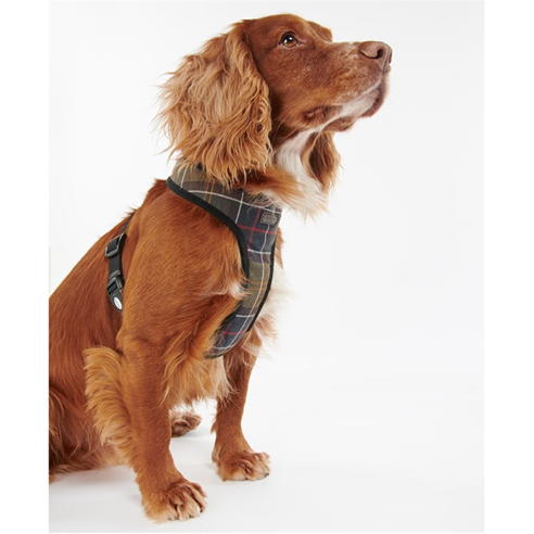 Barbour - Tartan Dog Harness