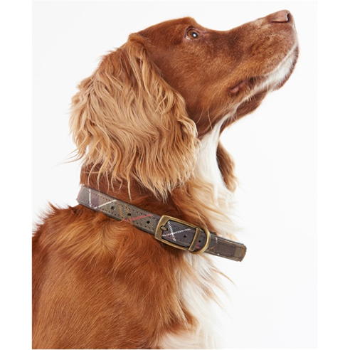Barbour - Tartan Dog Collar