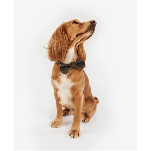Barbour - Tartan Dog Bow Tie