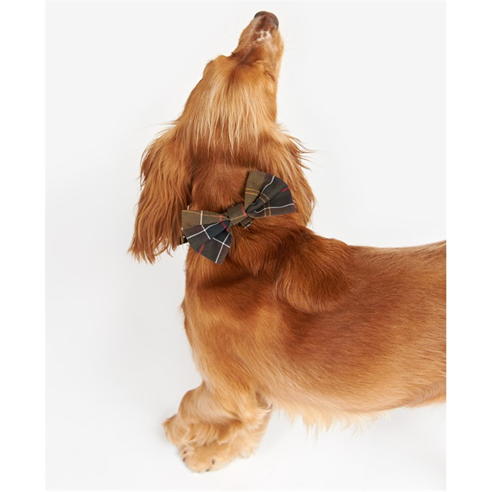 Barbour - Tartan Dog Bow Tie