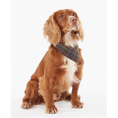 Barbour - Tartan Bandana
