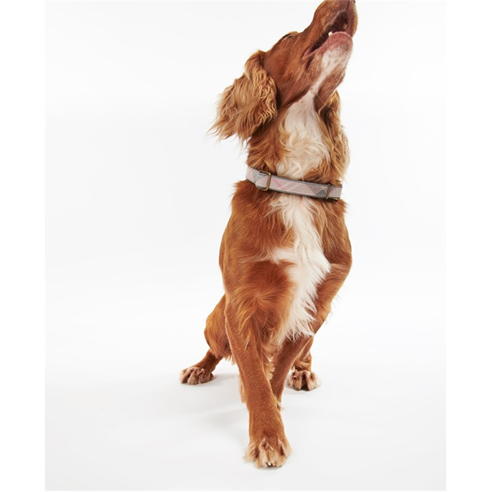 Barbour - Reflective Tartan Dog Collar
